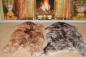 Preview: Lammfell Schaffell Geflammt Katzenbett Fensterfell (Öko)