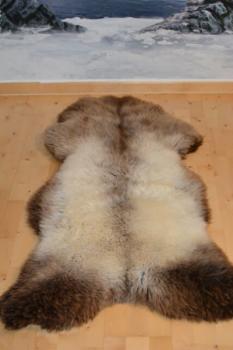 Schaffell Bicolore Beige Braun (Öko)