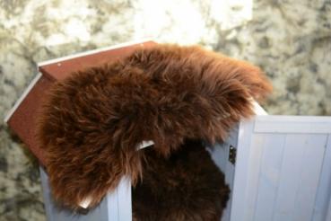 Lammfell Schaffell Braun Katzenbett Fensterfell (Öko)