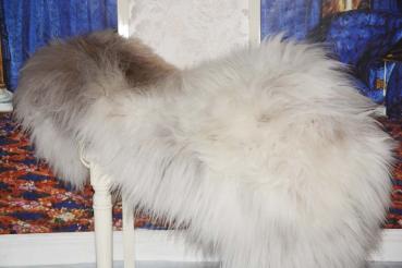 Islandfell Silber Grau XXXL (Öko)