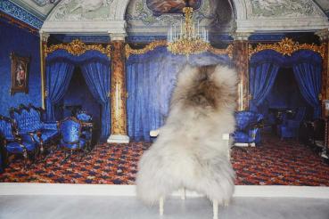 Islandfell Silber Grau XXXL (Öko)