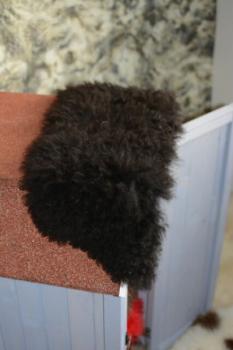 Lammfell Schaffell Schwarz Katzenbett Fensterfell (Öko)