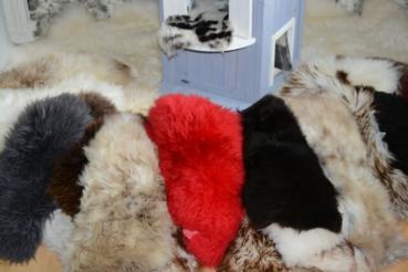 Lammfell Schaffell Rot Katzenbett Fensterfell (Öko)