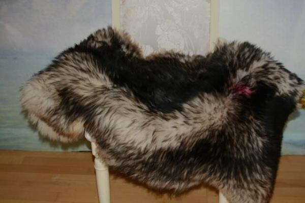 2.Wahl Lammfell Mufflon Schwarz (Öko)