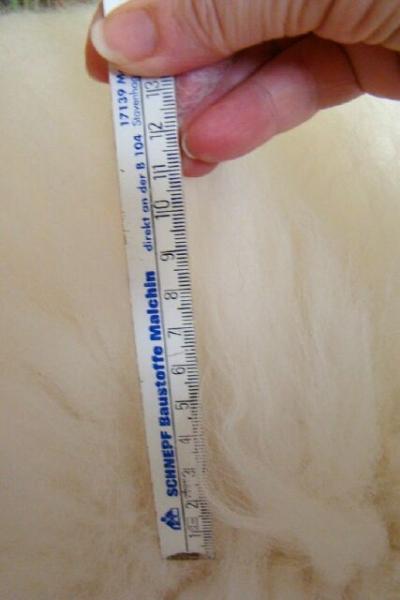 Lammfellteppich Eisbär 6er (Öko))