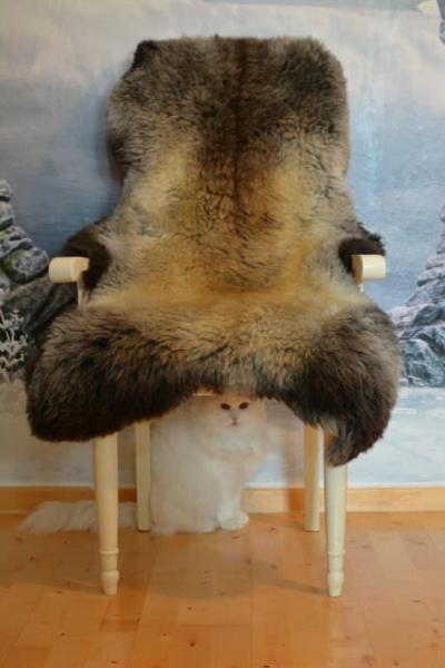 Lammfell Yeti Multicolore (Öko)