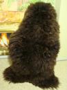 Schaffell Braun 145cm (Öko)